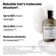 L'Oréal Professionnel Absolut Repair Molecular Shampoo 300ml and Rinse-Off Mask 250ml Set for Damaged Hair