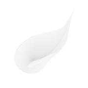 Shiseido Ultimune Power Infusing Concentrate (Various Sizes) - 75ml Refill