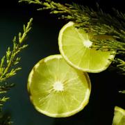 Rituals Homme Collection Cedar Wood and Vitamin E Complex Hygienic Hand Gel 50ml