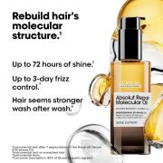 L'Oréal Professionnel Absolut Repair Molecular Bi-Phase Oil for Damaged Hair 90ml, 2x Benefit: High Shine & Repair