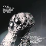 Redken Acidic Color Gloss Shampoo Mini 75ml, Conditioner Mini 50ml and Heat Protection Treatment 190ml