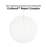 Coco & Eve Bond Therapy Full Routine Bundle