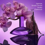 Calvin Klein Euphoria Bold Elixir Parfum Intense 50ml