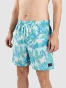 Hurley Cannonball Volley 17" Boardshorts mønster