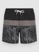 O'Neill Cali Block 15'' Boardshorts sort