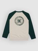 DC Corpo Raglan Crew Kids Sweater grøn