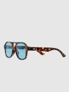 CHPO Cocas Turtle Brown Solbriller brun