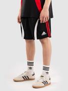 adidas Originals Teamgeist Shorts sort