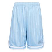 Varsity Pinstripe Mesh Shorts