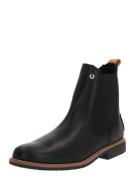 PANAMA JACK Chelsea Boots 'Gillian Igloo travelling '  sort