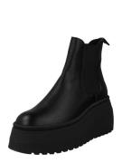 STEVE MADDEN Chelsea Boots  sort