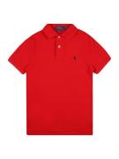 Polo Ralph Lauren Shirts  marin / rød