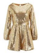 Dorothy Perkins Petite Kjole  guld