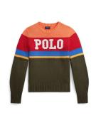 Polo Ralph Lauren Pullover  oliven / orange / rød / vinrød