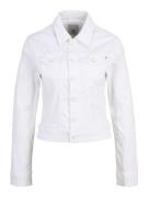 AG Jeans Overgangsjakke 'ROBYN'  hvid