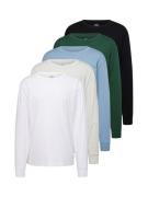 HOLLISTER Bluser & t-shirts  lyseblå / mørkegrøn / sort / offwhite
