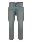 SELECTED HOMME Jeans  pastelblå