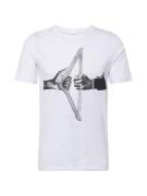 Lindbergh Bluser & t-shirts  grå / sort / hvid