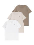 Abercrombie & Fitch Shirts  beige / mørkebeige / brun / hvid