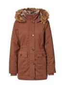 HOLLISTER Vinterparka  brun