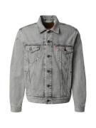 LEVI'S ® Overgangsjakke 'The Trucker Jacket'  grey denim