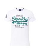 Superdry Bluser & t-shirts  lyseblå / jade / hvid