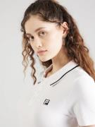 FILA Shirts 'BERNBURG'  sort / hvid