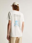 Scalpers Bluser & t-shirts 'New Stroke'  royalblå / grå / offwhite