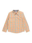 OshKosh Skjorte  antracit / pastelgrøn / orange / hvid