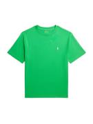 Polo Ralph Lauren Shirts  grøn / hvid