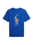Polo Ralph Lauren Shirts  blå / lyseblå / rød / hvid