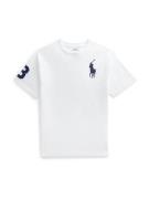 Polo Ralph Lauren Shirts  marin / hvid