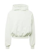 Karl Kani Sweatshirt  mint