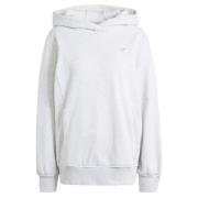 ADIDAS ORIGINALS Sweatshirt  grå / lysegrå