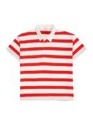Lindex Shirts 'Rugger'  rød / hvid