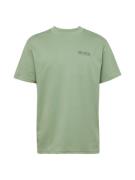 HOLLISTER Bluser & t-shirts  æble / mørkegrøn