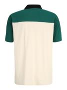 FILA Bluser & t-shirts 'LIANSHAN'  grøn / hvid