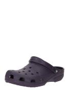 Crocs Træsko 'Classic'  aubergine