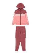 ADIDAS SPORTSWEAR Træningsdragt  pink / pudder / burgunder