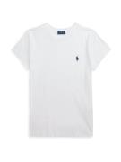 Polo Ralph Lauren Shirts  navy / hvid