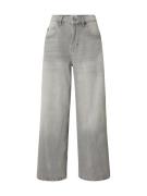 BDG Urban Outfitters Jeans 'JAYA'  grey denim