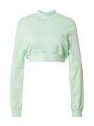 Nike Sportswear Sweatshirt  mint / hvid