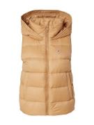 TOMMY HILFIGER Vest  lysebrun