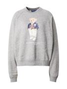 Polo Ralph Lauren Sweatshirt  beige / navy / lysebrun / grå-meleret