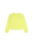 Scalpers Sweatshirt  lime