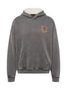 Abercrombie & Fitch Sweatshirt  curry / grå / grøn / rød