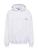 BDG Urban Outfitters Sweatshirt  grå-meleret