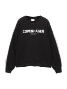 Pull&Bear Sweatshirt  sort / hvid