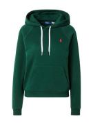 Polo Ralph Lauren Sweatshirt  gran