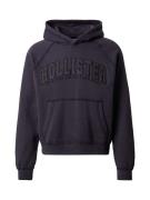 HOLLISTER Sweatshirt  sort